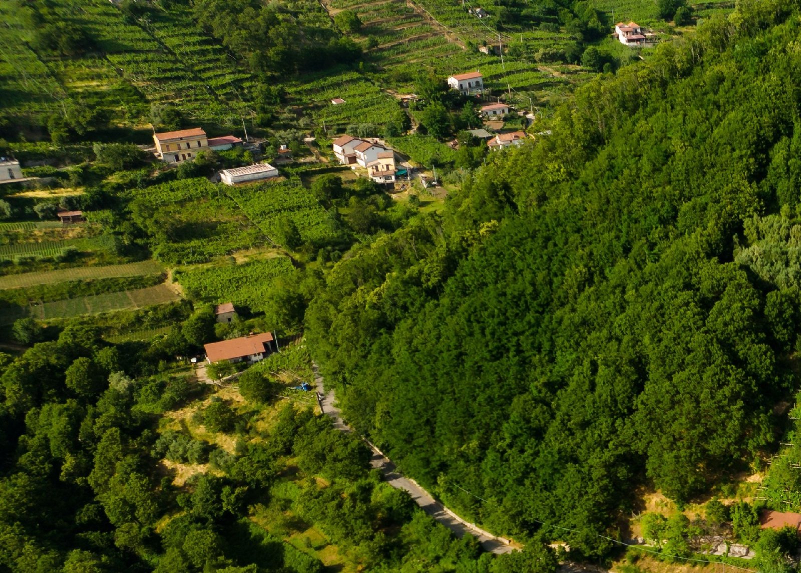 Residential Plot